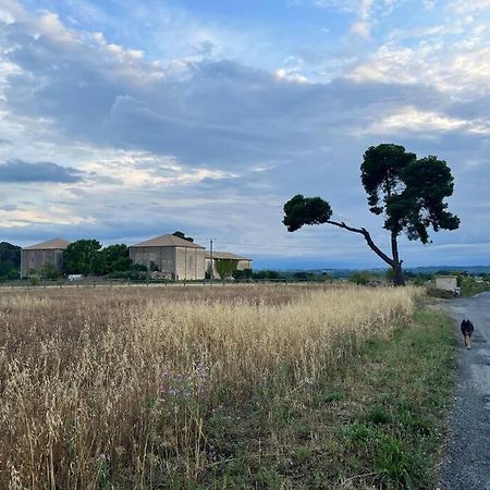 Charming Village House With Roof Top Terrace! Thezan-les-Beziers Esterno foto